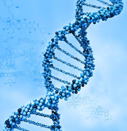 El Autismo puede ser causado por una Supresión de Genes El Autismo puede ser causado por una Supresión de Genes