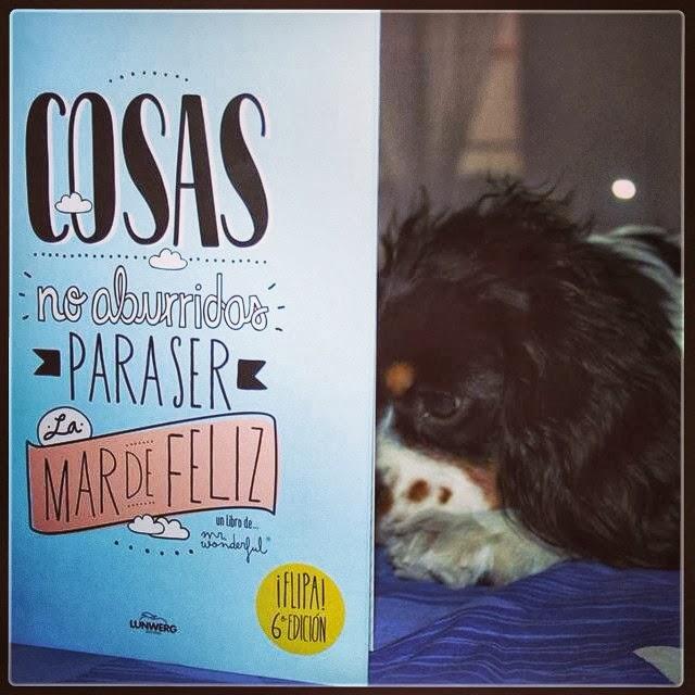 Current Obsession_Mr.Wonderful Current Obsession_Mr.Wonderful