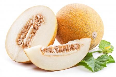 El melón común y su riqueza nutricional. cucumis melo