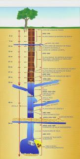 EL MISTERIOSO POZO DE LA ISLA DE OAK… EL MISTERIOSO POZO DE LA ISLA DE OAK…