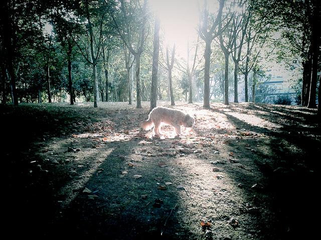 Dime de que presumes... En el Bosque Androidografia Barakaldo 142