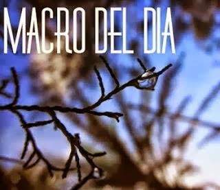 MACRO DEL DÍA - Historia de un espejo MACRO DEL DÍA - Historia de un espejo