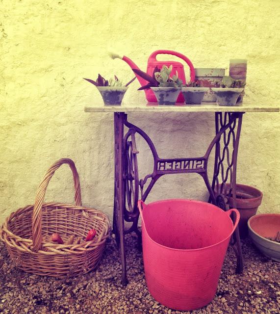 Finde frugal... composicion con crasas Finde frugal... composicion con crasas