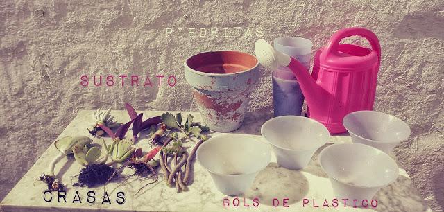 Finde frugal... composicion con crasas Finde frugal... composicion con crasas
