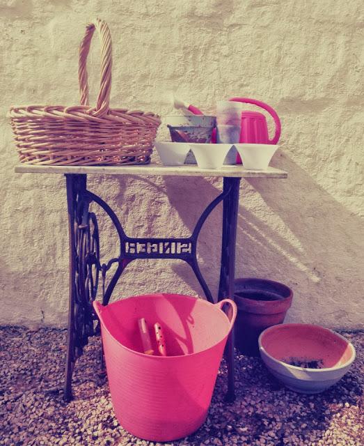 Finde frugal... composicion con crasas Finde frugal... composicion con crasas