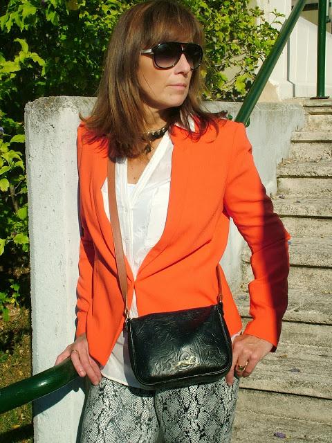MIS LOOKS - BLAZIER Y PITILLO SNAKE PRINT MIS LOOKS - BLAZIER Y PITILLO SNAKE PRINT