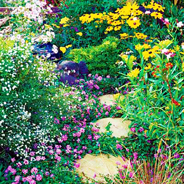 Cómo Planificar un Jardín de Mariposas