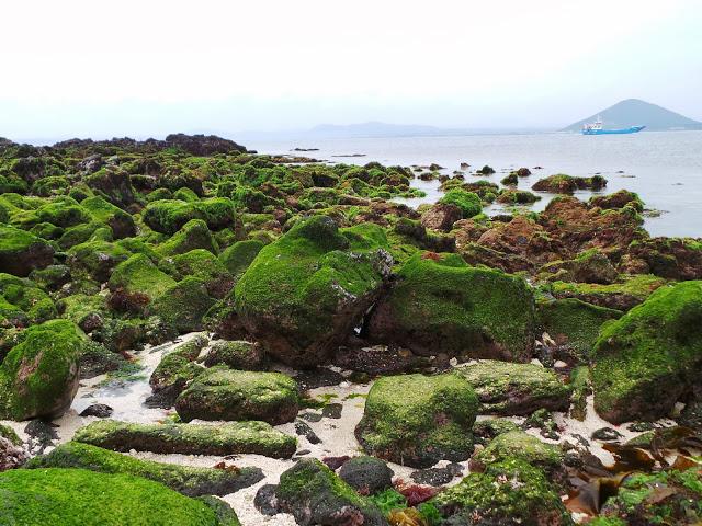 Isla de Jeju - Parte II Isla de Jeju - Parte II