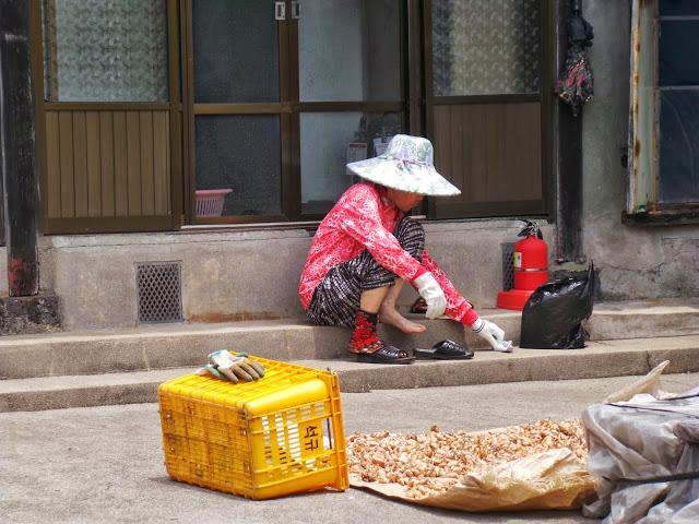 Isla de Jeju - Parte II Isla de Jeju - Parte II