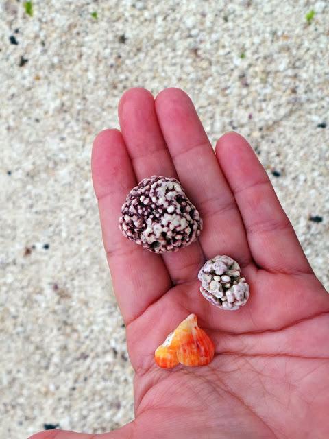 Isla de Jeju - Parte II Isla de Jeju - Parte II