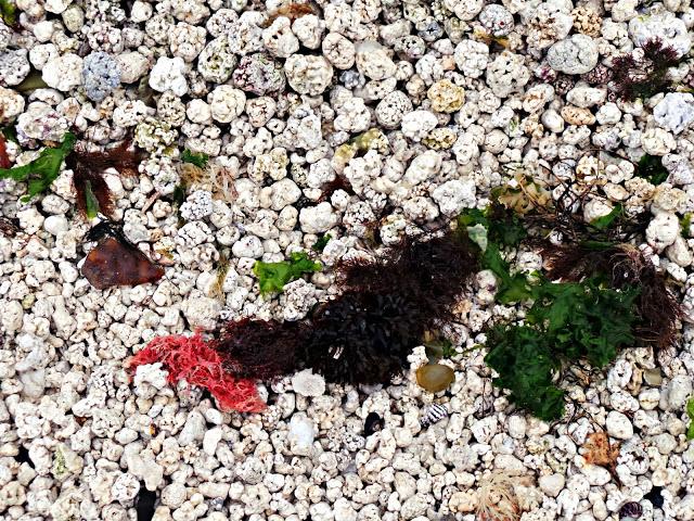 Isla de Jeju - Parte II Isla de Jeju - Parte II