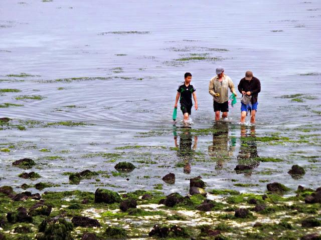 Isla de Jeju - Parte II Isla de Jeju - Parte II