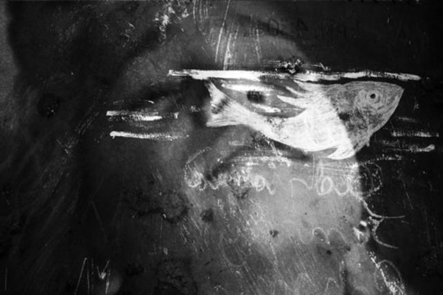 Síndrome de Cotard y “cotard inverso” daniela-1