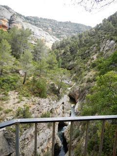 Cadolles fondes. Ulldemolins Cadolles fondes. Ulldemolins