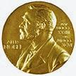 Se otorgaron los Premios Nobel 2013 de Física y Química, las dos ciencias hermanas Se otorgaron los Premios Nobel 2013 de Física y Química, las dos ciencias hermanas