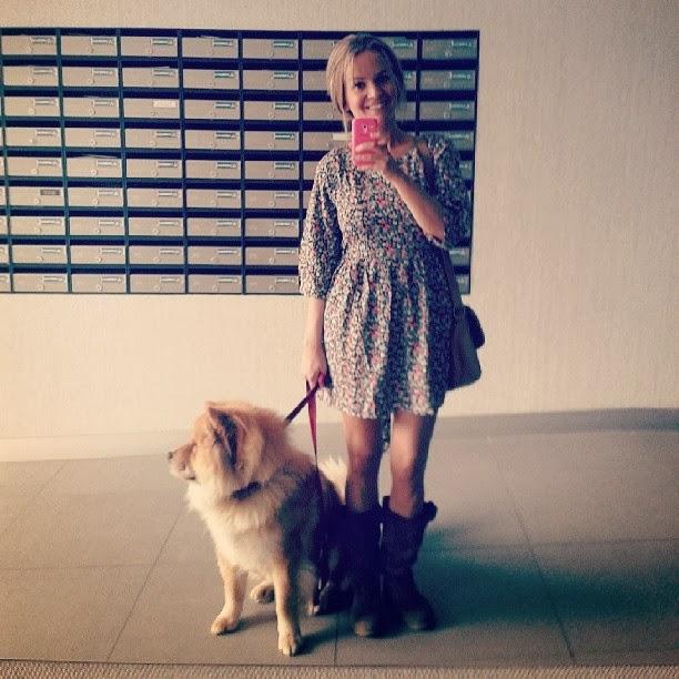 InstaLowCost InstaLowCost