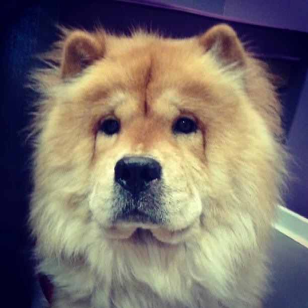 InstaLowCost InstaLowCost