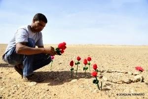 Moulud Yeslem siembra flores en el muro marroquí en el Sahara Occidental