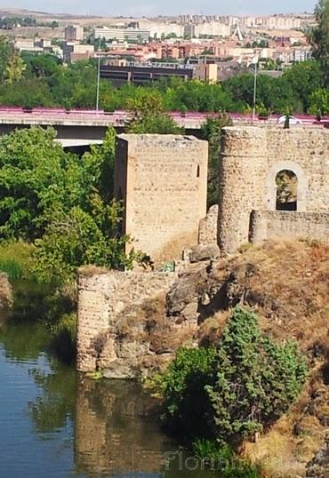 Leyenda toledana, la esposa del alarife y el puente de San Martín Leyenda toledana, la esposa del alarife y el puente de San Martín