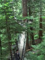 Vancouver: Puente Capilano y Grouse Mountain Vancouver: Puente Capilano y Grouse Mountain