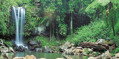 Adaptación o extinción Naturaleza cambiante