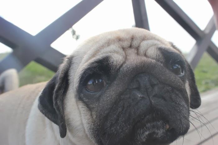 Simplicity Simplicity