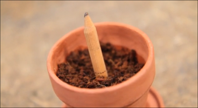 Eco Sprout, Lápiz que se Transforma en Planta