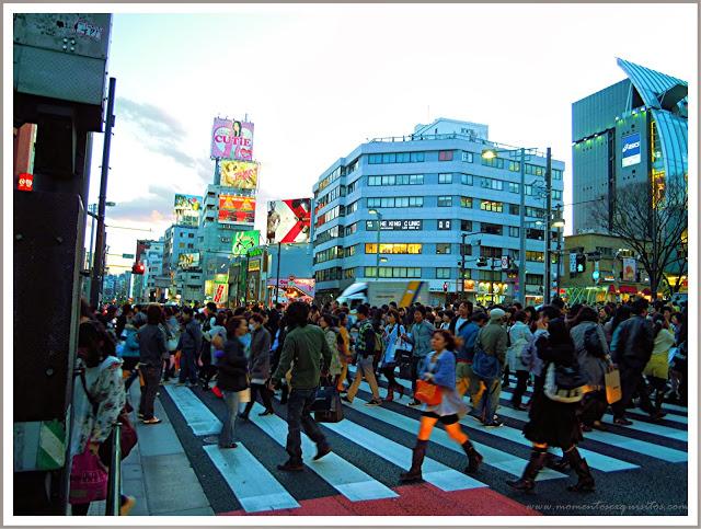 City Guide: Tokio City Guide: Tokio