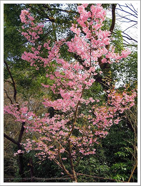 City Guide: Tokio City Guide: Tokio