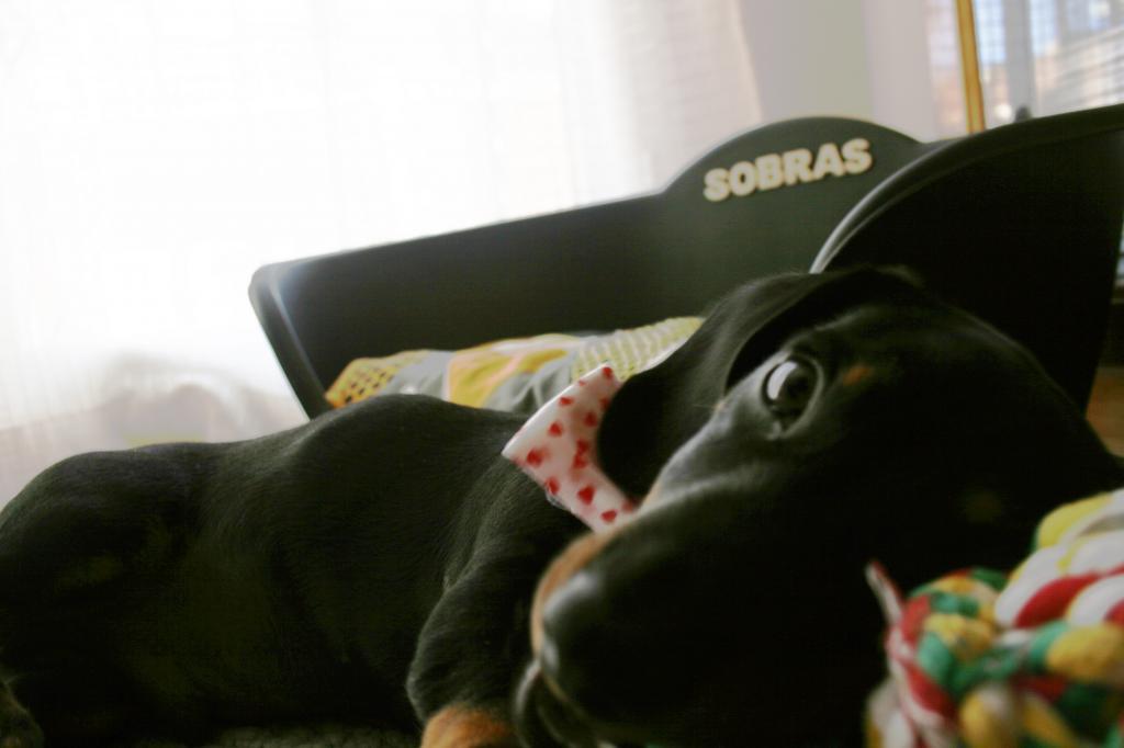 EL RINCÓN DE SOBRAS EL RINCÓN DE SOBRAS