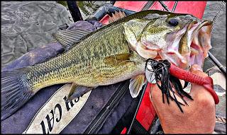 Reencuentro con una vieja amiga Reencuentro con una vieja amiga
