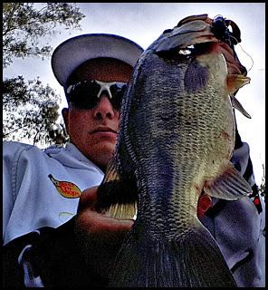 Reencuentro con una vieja amiga Reencuentro con una vieja amiga