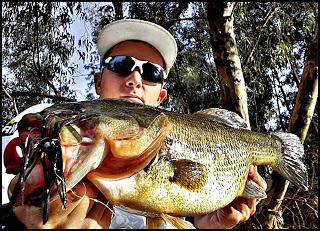 Reencuentro con una vieja amiga Reencuentro con una vieja amiga