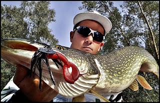 Reencuentro con una vieja amiga Reencuentro con una vieja amiga