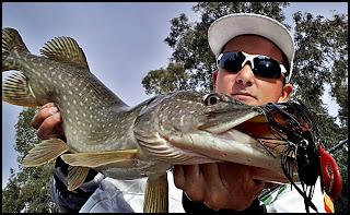 Reencuentro con una vieja amiga Reencuentro con una vieja amiga