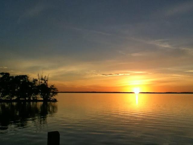 Caimán frito y cangrejos en Florida