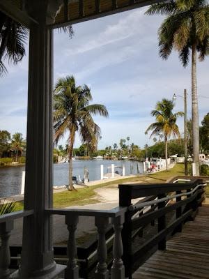 Caimán frito y cangrejos en Florida