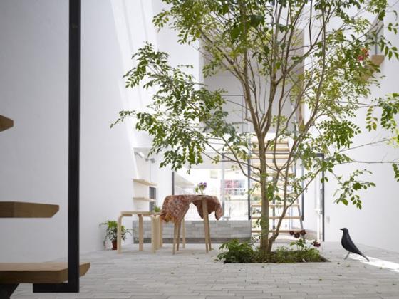 Os presento a… Eames House Bird eames-house-bird-02