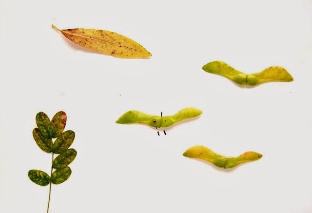 DIBUJOS CON HOJAS DIBUJOS CON HOJAS