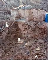 Fulguritos, los rayos fosilizados Fulguritos, los rayos fosilizados