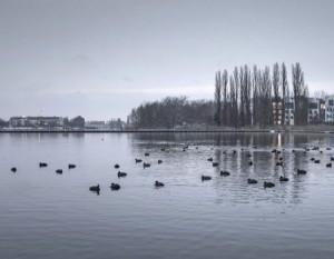 14 En Berlín se encuentra tu Casa Flotante