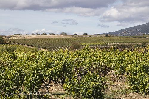 Bodegas Ysios, Laguardia