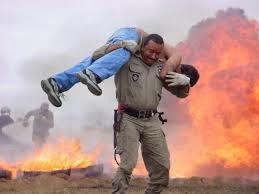 El gen altruista. El gen altruista.