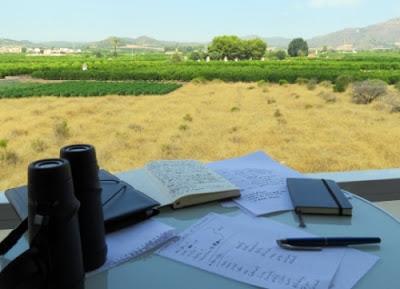 Escribiendo y viendo aves en el balcón