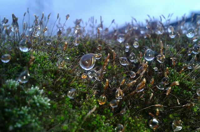 Dime de que presumes... Gotas Androidografia Barakaldo 187