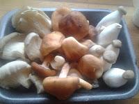 CALABACINES CON SETAS GRATINADOS CON COSTRA DE CENTENO CALABACINES CON SETAS GRATINADOS CON COSTRA DE CENTENO