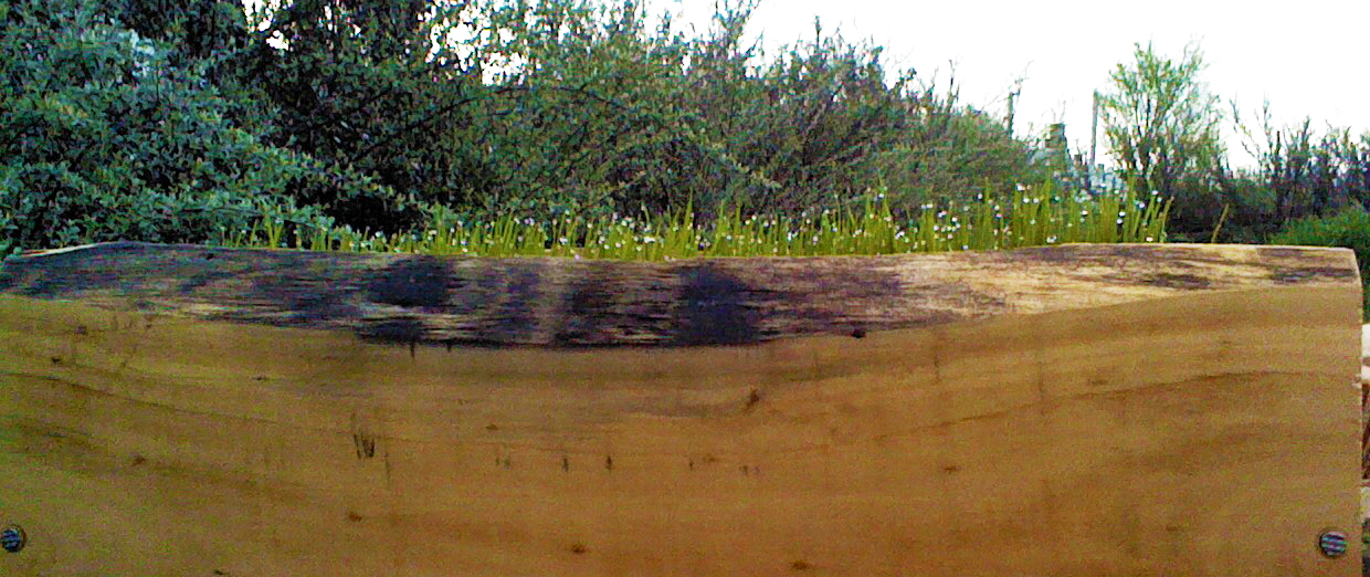 Cómo hacer centros de mesa rústicos con jardineras de madera ... Mesa con madera rústica en l