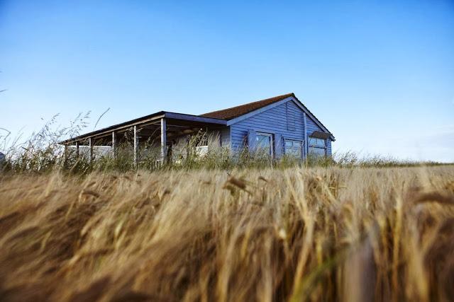 MODA A PRUEBA DE ESCENARIO MODA A PRUEBA DE ESCENARIO