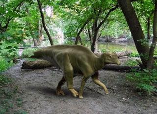 El fósil más completo de una cría del dinosaurio Parasaurolophus El fósil más completo de una cría del dinosaurio Parasaurolophus