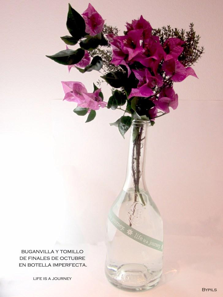 Píldoras (mías) botellaimperfecta